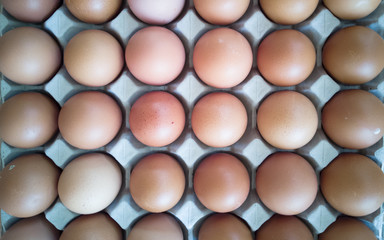 Gray tray of eggs with many eggs