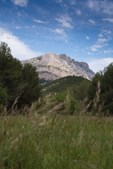 Sainte victoire en Provence 3
