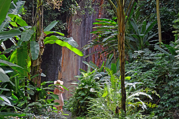 A peaceful scene looking through tropical jungle foliage to a distant, sunlit woman in a straw sun hat standing in front of the glistening colorful wall of St. Lucia's Diamond Waterfalls.