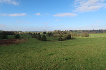 イギリスの草原