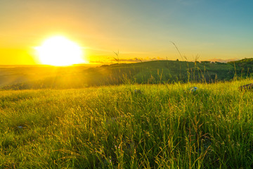 Fototapeta na wymiar Green hill with sunrise background