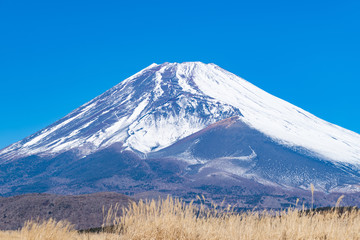 Fototapeta premium 冬の富士山 静岡県裾野市