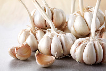 Fresh ingredients, garlic