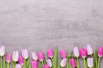 Spring greeting card, pink color tulips on the gray background.