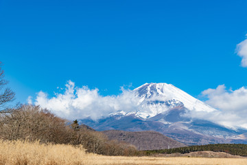 快晴の富士山　冬　静岡県裾野市