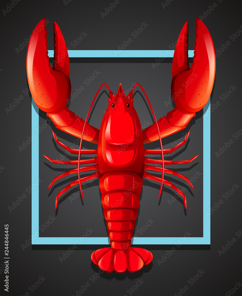 Poster a red lobster on black template