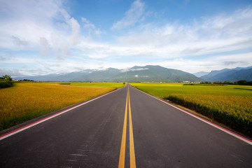 Rural scenery with golden paddy rice farm at Luye, Taitung, Taiwan