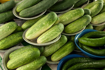 cucumbers in the market