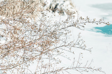 Bright Winter Background