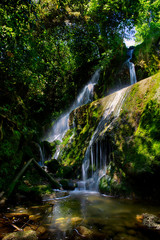 Waterfall in Bush. New Zealand