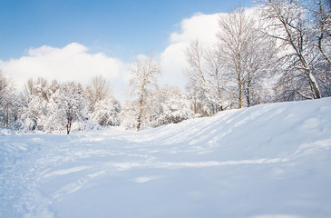 Fototapeta na wymiar sunny and snowy day in the park