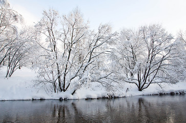 river and trees in snow on the shore in winter