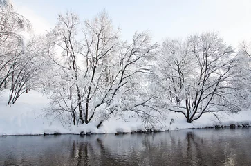 Foto auf Leinwand river and trees in snow on the shore in winter © mskphotolife