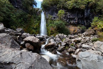 Dawson Falls. New Zealand