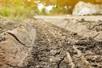 wheel track on dry soil