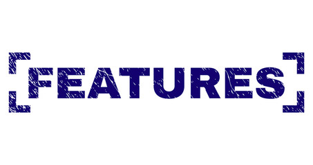 FEATURES text seal stamp with distress texture. Text tag is placed between corners. Blue vector rubber print of FEATURES with dirty texture.