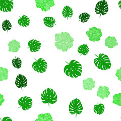 Light Green vector seamless natural backdrop with flowers, leaves.