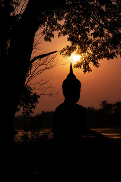 silhouette of Buddha statue under tree on river bank during sunrise