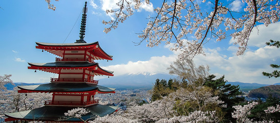 Chureito red Pagoda with beautiful Cherry Blossom or pink Sakura flower tree and Mount Fuji against blue sky. Spring Season at Fujiyoshida, Japan. landmark and popular for tourist attractions