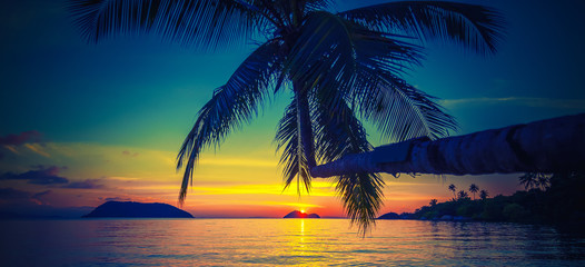 Naklejka na ściany i meble The silhouette of a coconut palm on the background of the sea and a stunning bright sunset, wallpaper, background and texture for advertising, panoramic banner format