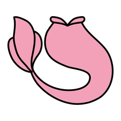 mermaid tail icon 