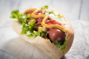 Classic american hot dog