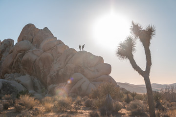 Climbing the Joshua Tree boulders at sundown