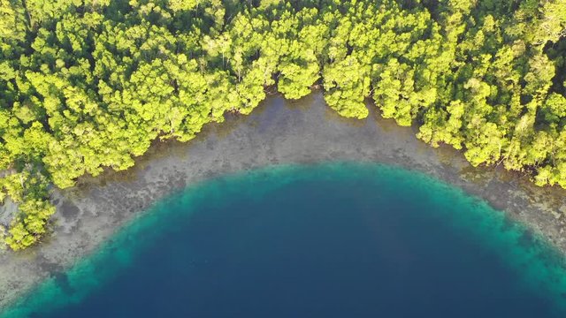 Aerial of Tropical Island Coastline in Raja Ampat
