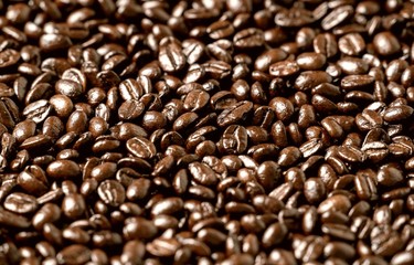 Roasted coffee beans on a flat background