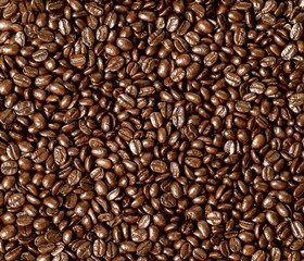 Roasted coffee beans on a flat background