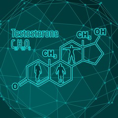 Chemical molecular formula hormone testosterone. Infographics illustration. Man silhouette