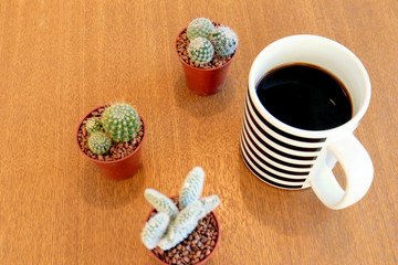 Obraz na płótnie Canvas Looking down Coffee cup and Small Cactuses on Wooden table
