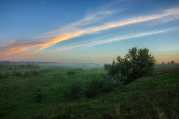 Spring dawn in the steppe. Blue sky is covered with a pattern of soft clouds.