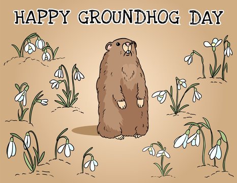 Happy Groundhog Day postcard. Groundhog in the snowdrops field. Cute cartoon groundhog image.