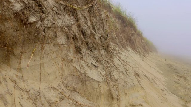 Sand dunes and foggy beach on Cape Cod.  Camera pans right.