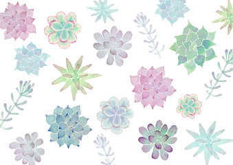 多肉植物 背景 テキスタイル　水彩 イラスト