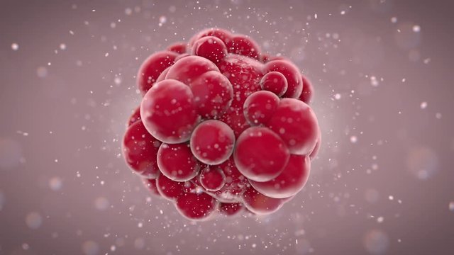 A macro closeup of a rotating red flesh cell in a body developing increasing sized tumors