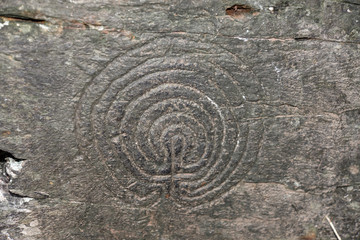 Fototapeta na wymiar Labyrinthine stone carvings in the Rock valley near Tintagel in cornwall. The carvings, discovered in 1948, are belived to be from the Bronze Age.