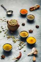 Various colorful spices on wooden table, top view