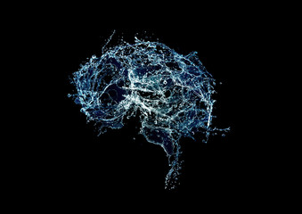 Water brain