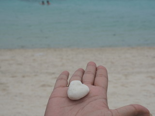it's sea it's heart