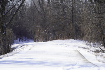 Fototapeta na wymiar Wisconsin Winter Wonder Land 