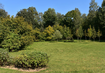 Green trees in the Park.