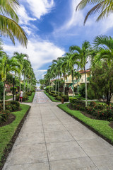 Fototapeta na wymiar Alley, surrounded by palm trees