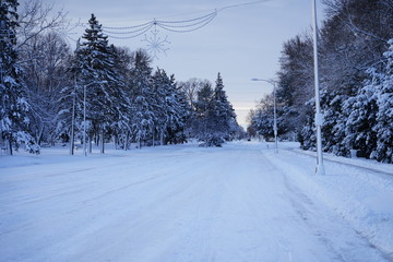 Wisconsin Winter Wonder Land