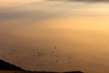 Obraz na płótnie Canvas Flock of birds flying over a sea of mist at sunset
