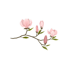 Small twig with gentle pink flowers. Blooming branch of magnolia tree. Botany theme. Detailed flat vector icon