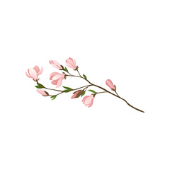 Obraz na płótnie Canvas Small twig with beautiful pink flowers and green leaves. Fresh branch of magnolia tree. Detailed flat vector icon