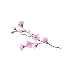 Blooming branch of sakura tree. Twig with small pink flowers. Nature and flora theme. Detailed flat vector design
