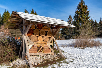 Insektenhotel im Winterwald